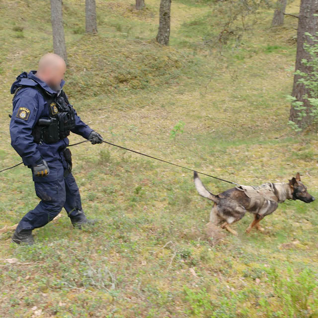 Snigel Equipment vest  -16