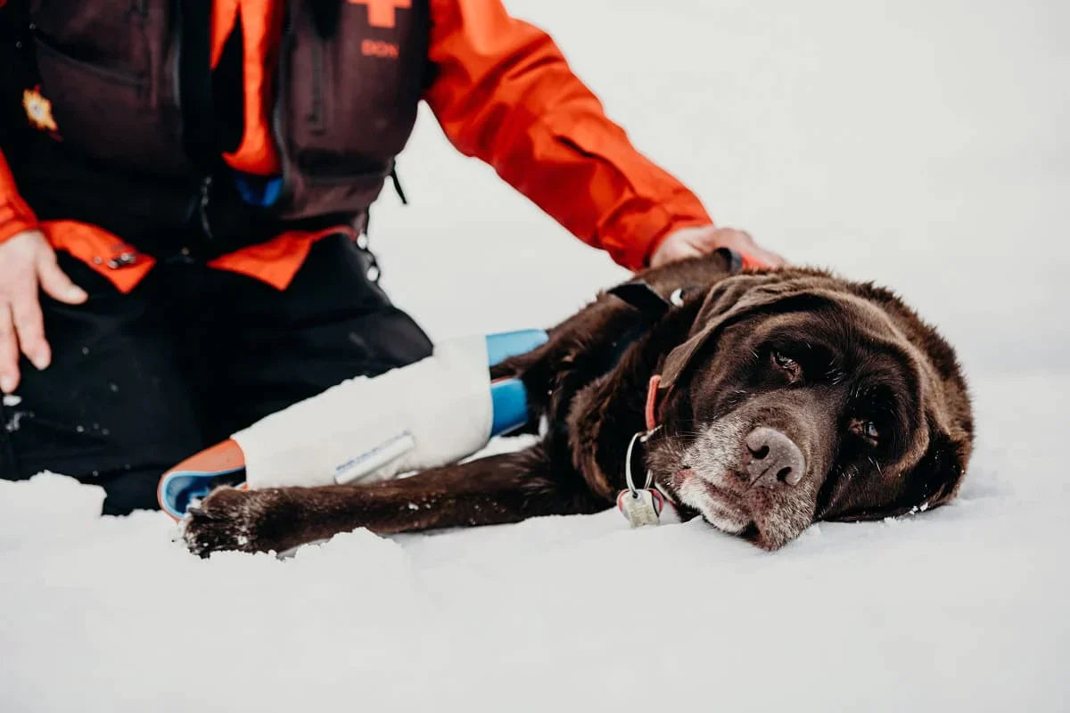 SAM Splint – formbar spjäla 45 cm (18ʺ), orange/blå